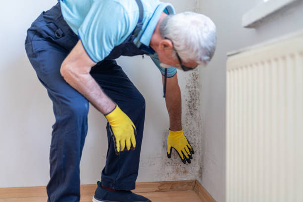 Searching for Fast & Reliable Dry Rot Repair Sacramento Services? dry rot repair sacramento